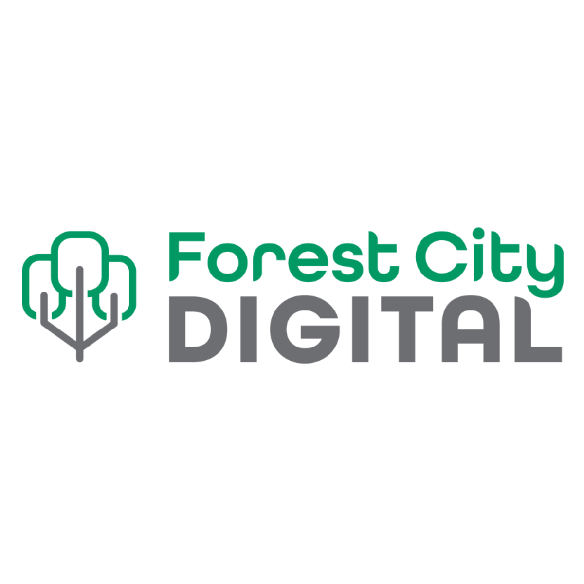 Forest City Digital Duoplane